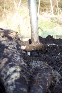 _DSC0676 Copyright Ciaran Burke 2011