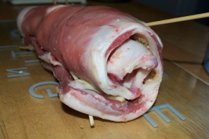 DSC_0063 Copyright Ciaran Burke 2011