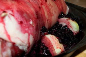 DSC_0068 Copyright Ciaran Burke 2011