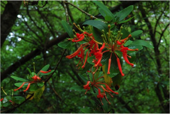 emb COPYRIGHT CIARAN BURKE 2011