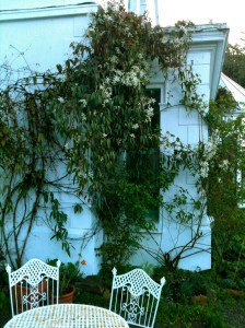 COPYRIGHT CIARAN BURKE 2011