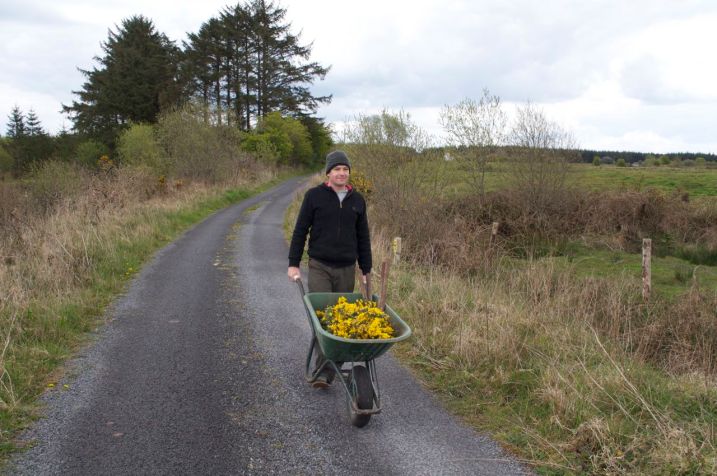 On the way home with the harvest