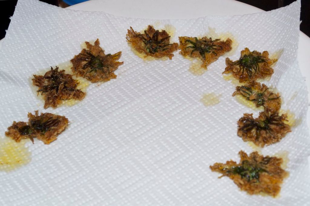 14 - Drain the fried dandelion flowers on a piece of kitchen towel