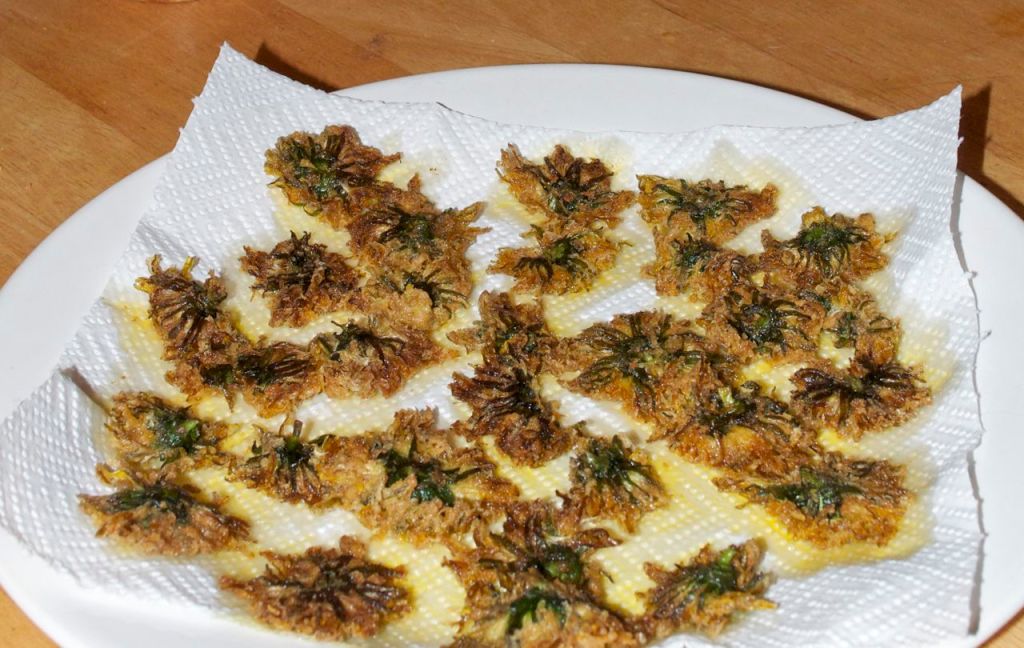 15 - Spicy Fried Dandelion Flowers