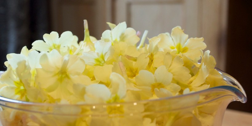 Petals in measuring jug
