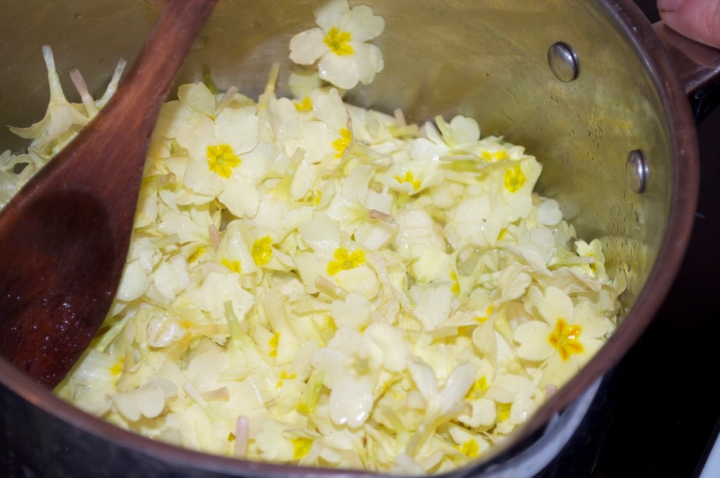 Primrose flowers in saucepan