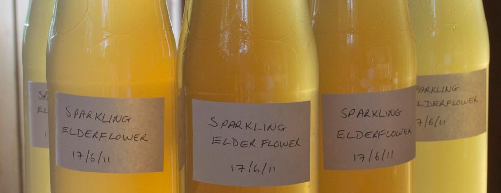 Sparkling Elder Flower Recipe