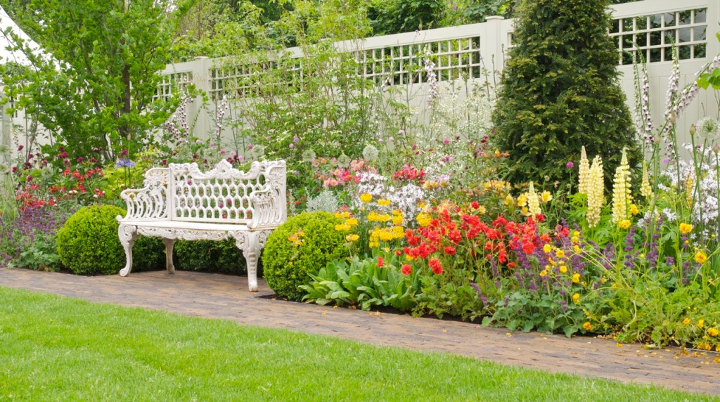 Bord na Mona Growise ‘My Garden’ by Jane McCorkell Bord na Mona Growise ‘My Garden’ by Jane McCorkell