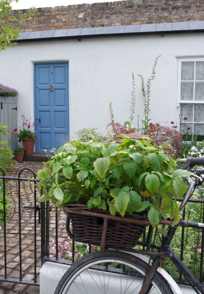 Greenhouse by Patricia Tyrrell and Deirdre Prince