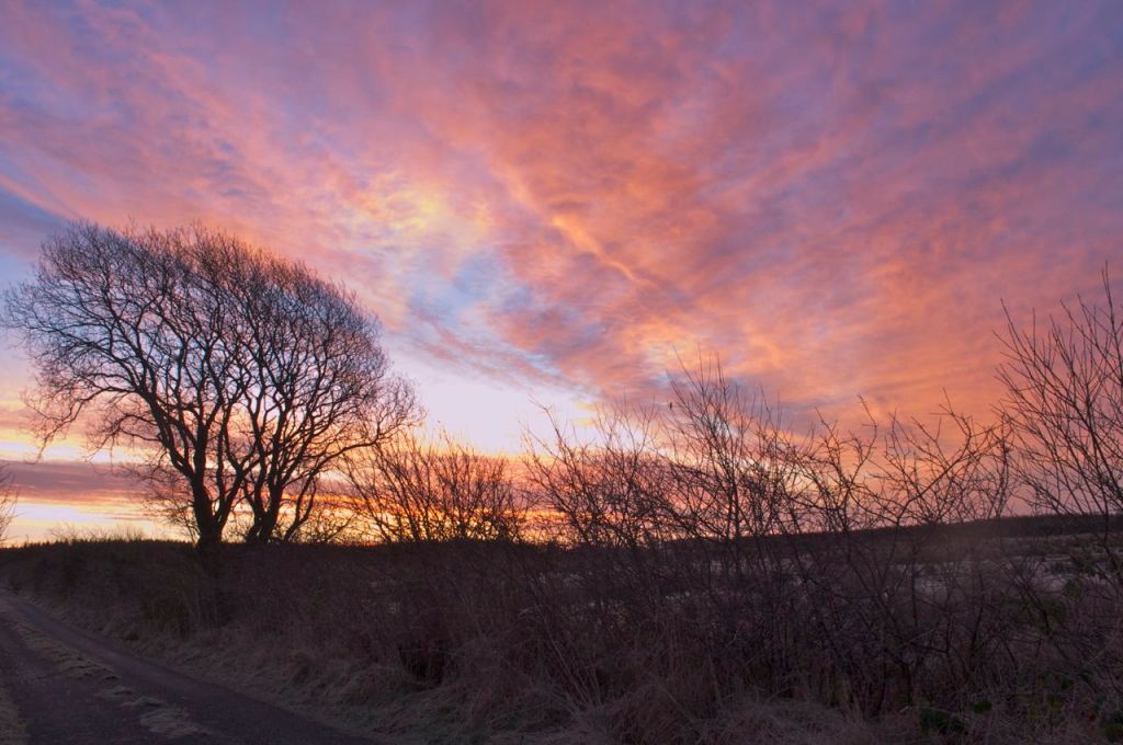 15th January - sunrise