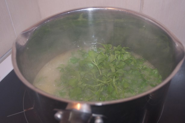 Cook until the potato is soft then add the fresh chickweed and cook for a further 5-10 minutes before blending with a hand blender