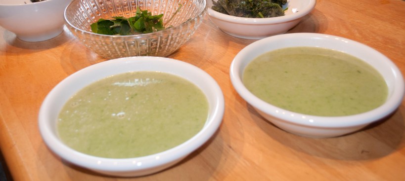 Chickweed soup... will warm you up on a cold day