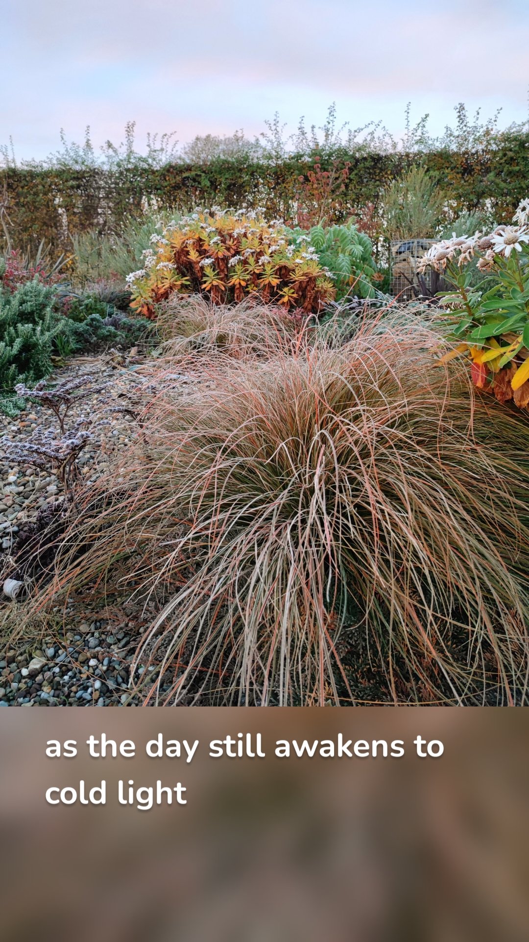 as the day still awakens to cold light