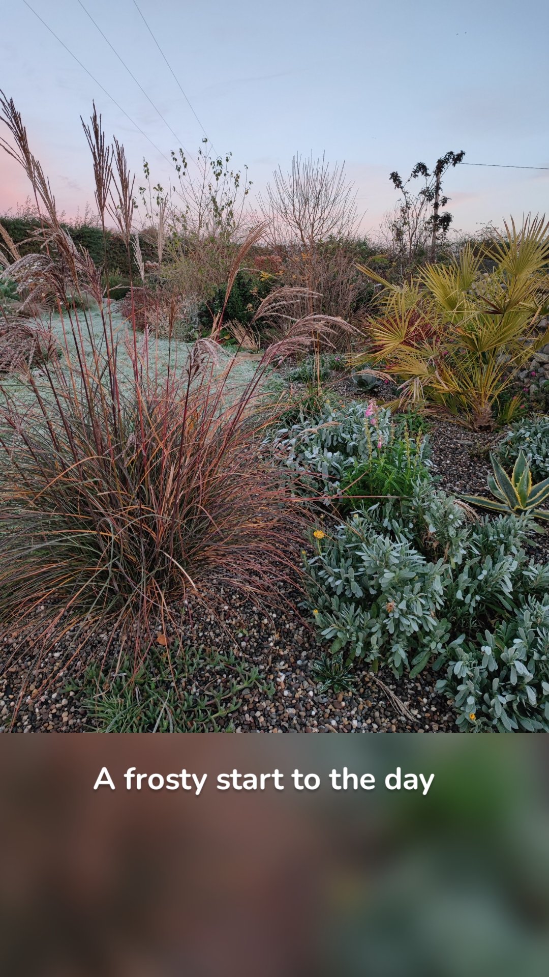 A frosty start to the day